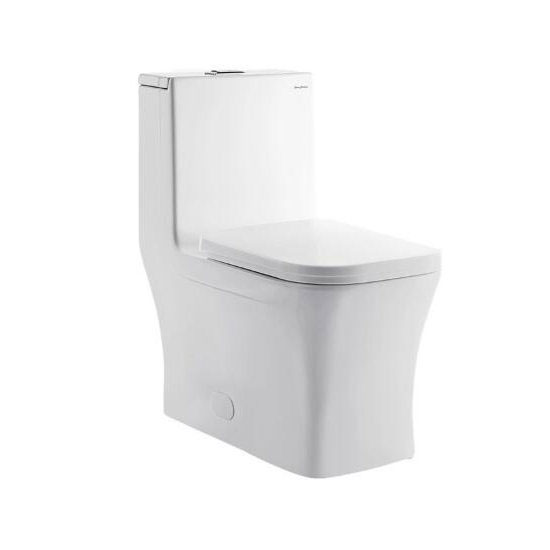 PHOENIX 1-Piece Square Elongated Toilet, Dual Flush, 0.8/1.28 g